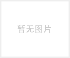 山特ups电源(后背式)TG500原装正品